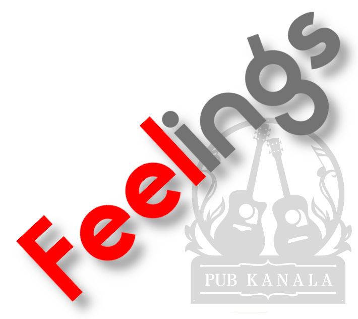 Kattaus Hauho-talolla