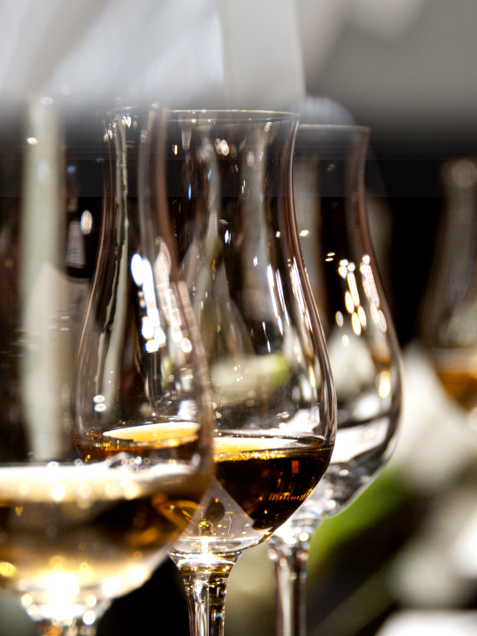 Kattaus Hauho-talolla